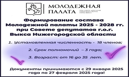 Стань членом Молодежной палаты при Совете депутатов г.о.г. Выкса Нижегородской области