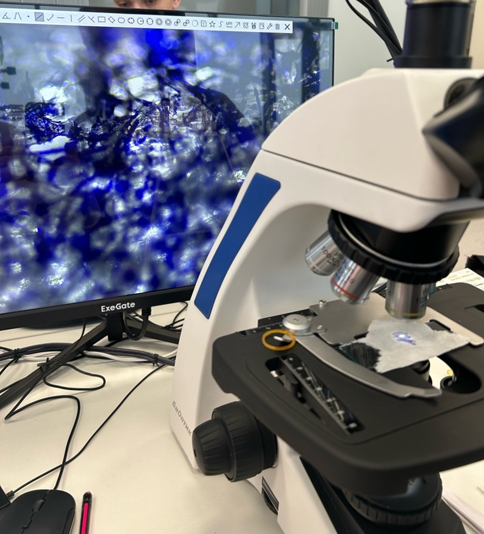 Группа студентов работает в лаборатории